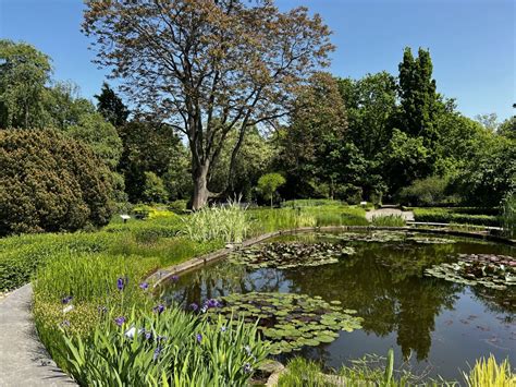 Jardín de Cuitláhuac: Oaza Spokoju w Sercu Kurytyby!