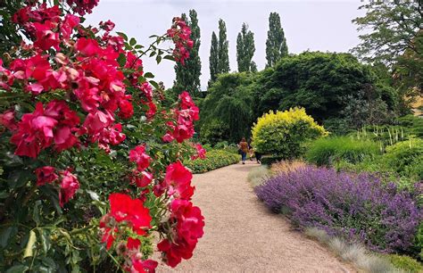  Ogród Botaniczny Suqian - zielona oaza w sercu miasta!